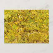 Carte Postale Champ de fleurs jaunes Vincent van Gogh (Devant)