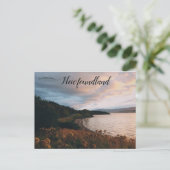 Carte Postale Champ de fleurs le long du rivage Terre-Neuve (Debout devant)