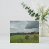Carte Postale Champ de foin (Debout devant)