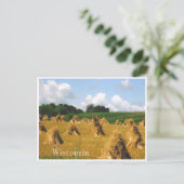 Carte Postale Champ de foin (Debout devant)