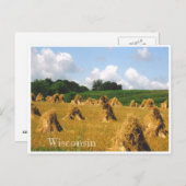 Carte Postale Champ de foin (Devant / Derrière)