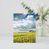 Carte Postale Champ de jaune (Debout devant)