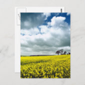 Carte Postale Champ de jaune (Devant / Derrière)