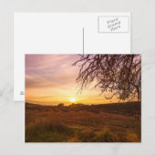 Carte Postale Champ de lavande d'automne au coucher du soleil (Devant / Derrière)