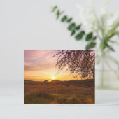 Carte Postale Champ de lavande d'automne au coucher du soleil (Debout devant)