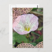 Carte Postale Champ de liseron rose et blanc (Devant / Derrière)