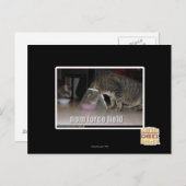 Carte Postale champ de nom force (Devant / Derrière)