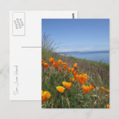 Carte Postale Champ de pavots (Devant / Derrière)