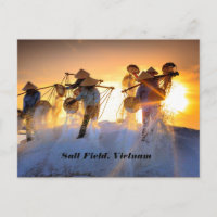 Champ de sel du Vietnam