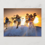 Carte Postale Champ de sel du Vietnam (Devant)