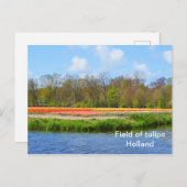 Carte Postale Champ de tulipes en Hollande (Devant / Derrière)