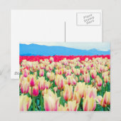 Carte Postale Champ de tulipes roses et jaunes (Devant / Derrière)