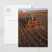 Carte Postale Champ d'essai du coton (Devant / Derrière)