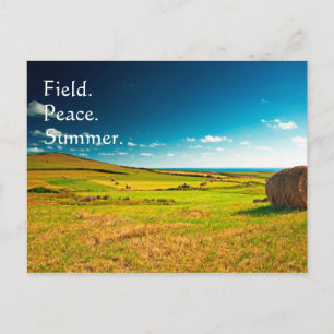 Carte Postale Champ d'été