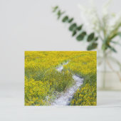Carte Postale Champ Fleur sauvage jaune (Debout devant)