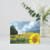 Carte Postale Champ jaune (Debout devant)