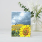 Carte Postale Champ jaune (Debout devant)