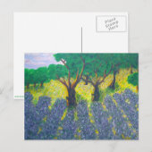 Carte Postale Champ Lavender (Devant / Derrière)
