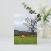 Carte Postale Champ le jour nuageux (Debout devant)
