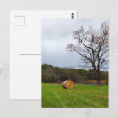 Carte Postale Champ le jour nuageux (Devant / Derrière)
