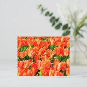 Carte Postale Champ orange de tulipes (Debout devant)