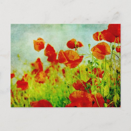 Carte postale Champ Poppy (Devant)
