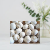 Carte Postale Champagne (Debout devant)