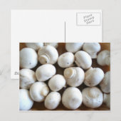 Carte Postale Champagne (Devant / Derrière)