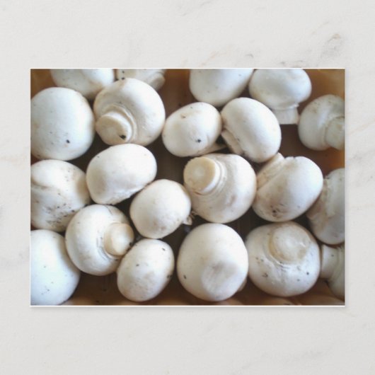 Carte Postale Champagne (Devant)