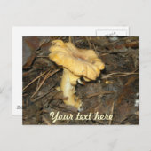 Carte Postale Champagne (Devant / Derrière)