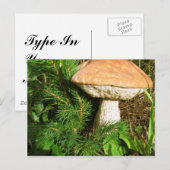 Carte Postale Champagne (Devant / Derrière)