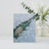 Carte Postale Champagne sur glace 2012 (Debout devant)