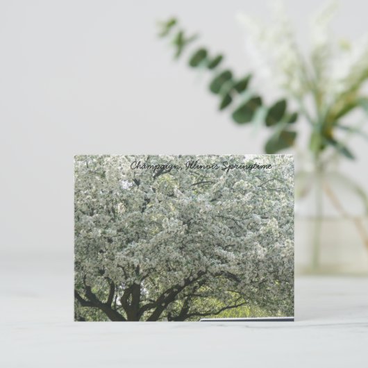 Carte Postale Champaign, Illinois Springtime (Debout devant)