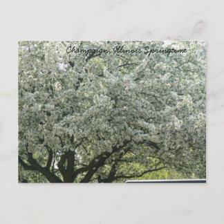 Carte Postale Champaign, Illinois Springtime