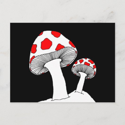 Carte postale Champignon (Devant)