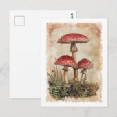 Carte postale Champignon rouge vintage (Devant / Derrière)