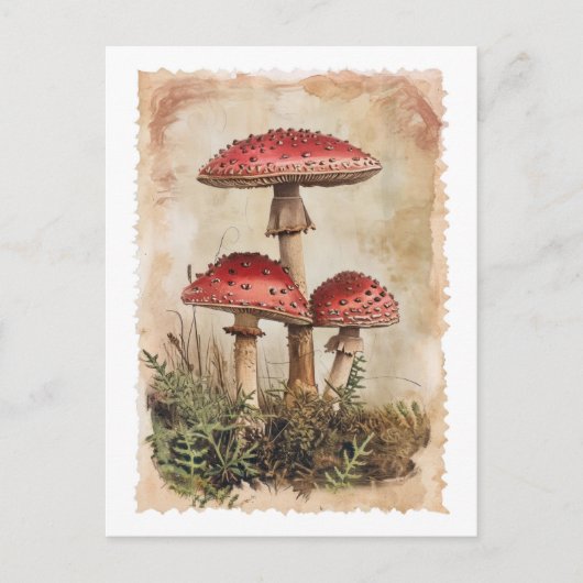 Carte postale Champignon rouge vintage (Devant)