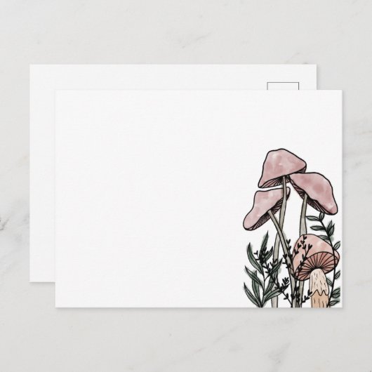 Carte Postale Champignons  (Devant / Derrière)