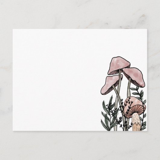 Carte Postale Champignons  (Devant)