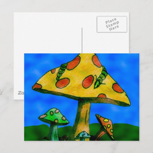 Carte Postale Champignons (Devant / Derrière)