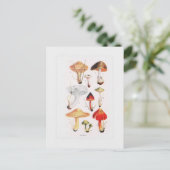 Carte Postale Champignons (Debout devant)