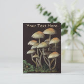 Carte Postale Champignons (Debout devant)