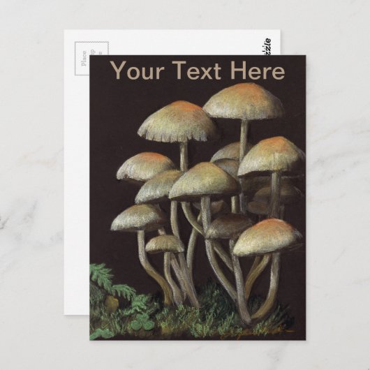 Carte Postale Champignons (Devant / Derrière)