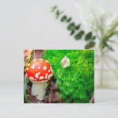 Carte Postale Champignons agariques volants (Debout devant)