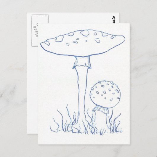 Carte Postale Champignons bleus (Devant / Derrière)