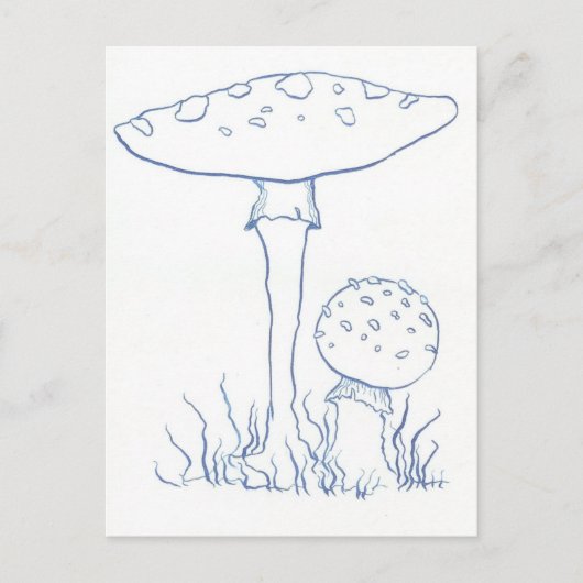Carte Postale Champignons bleus (Devant)