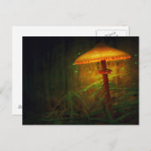 Carte Postale Champignons brillants magiques (Devant / Derrière)