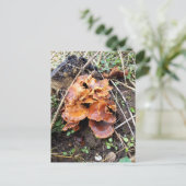 Carte Postale Champignons dans la forêt (Debout devant)