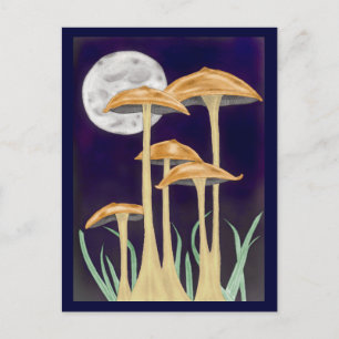 Carte Postale Champignons dans le clair de lune