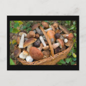 Carte Postale champignons d'automne (Devant)